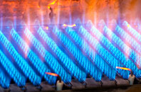 Ellon gas fired boilers